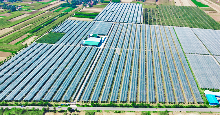 1684147653281283.png 鈺圣果業(yè)全景圖006.png